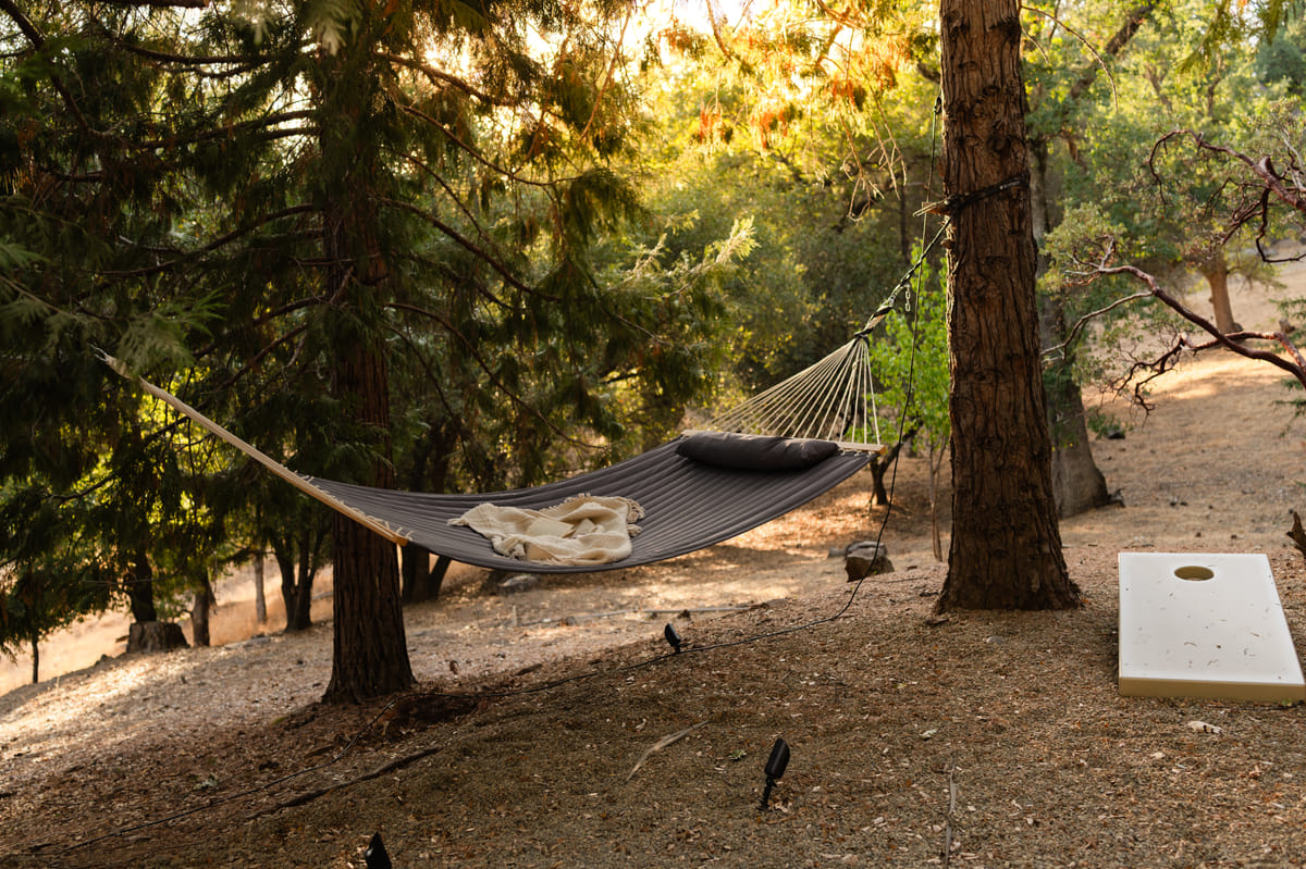 The hammock in the pines
